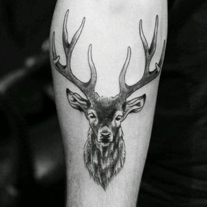 Great saturday evening with Nathan #tatouage #toulouse #cerf #avantbras #artcoretattoos #sebastienodd #tattoo #deer #horns
