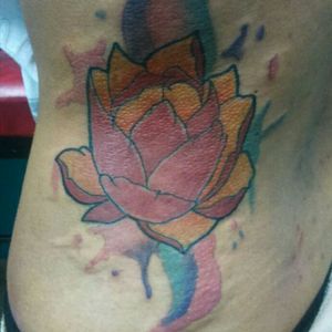 #lotus #freestyle #watercolor #pulpodrogado