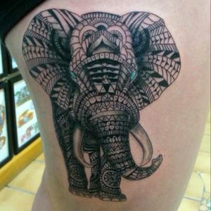 #elephant I #tattooed about a year ago #nofilter #tattoo #girlswithtattoos #tattoodesign #patience #passion #linework