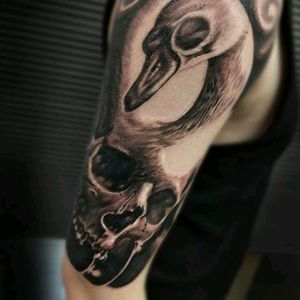 Skull&swan ink by @jammestattoo