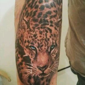 #jaguar