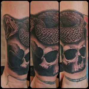 #tattoos #inked #tatt #freshink #snake #snaketattoo #hairybushviper #vipertattoo #blackandgreytattoo #skulltattoo #inkedup #mickysharpz #bugpins #dermagloink #eternalink