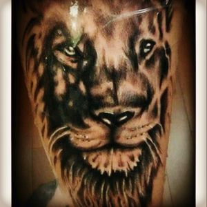 A sweet lion tattoo i did on a client in Baltimore, Maryland.#eternalinks #leo #liontattoo #lion_tattoo #liontattooblackandgray Www.southerncharmtattoo.com