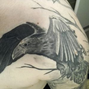 #shoulder #crow #blackAndWhite #tree #dark_tattoo