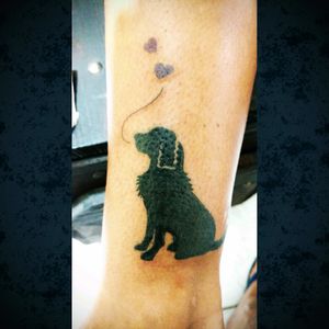 Valeu Aninha por insistir em acreditar. Essa é uma homenagem ao velho Rolph... Que segue a cada dia que passa alegrando nossos corações.#tattoo2me #tattoo #dog #love #cachorro #amor #blackwork #tatowierung #t4ttoois #tatouage #tonoinsptattoos #tattoodo #tattoobrasil #tattooistartmag #inspirationtatto #tattooed #tattooart #tattooartist #tattooflash #tattooist #inked #inkedup #tatts #inkedlife #inkedlifestyle #inkaddict #instagood