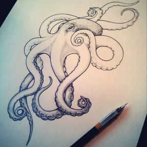 #octopus #octopusdrawing #Fhöbik