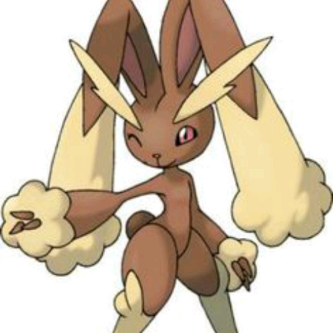 Brown bunny pokemon