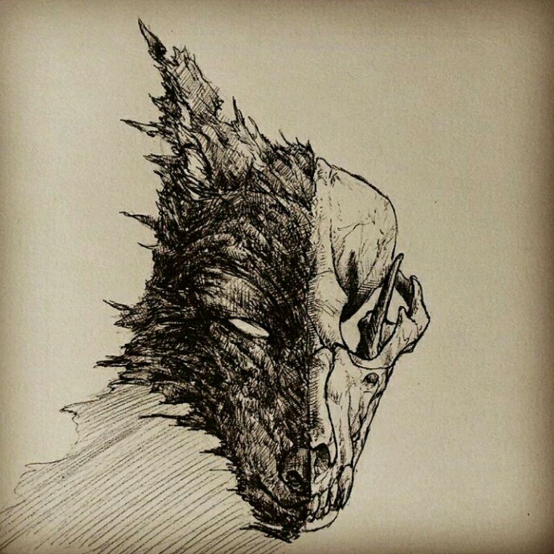 Wolf skull placment in the head by YouAreNowIncognito on DeviantArt