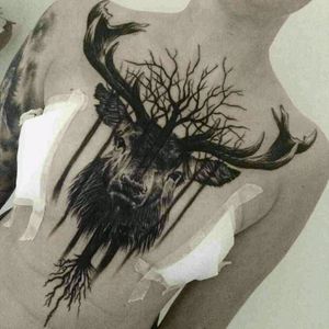 #chest #chesttattoo #tattooart #art #ink #inked #animal #roots #trees #tree #nature #hunt #buck #buckbeaktattoo  #buckbeak #bucks #blackwork #meganmassacredreamtattoo #dreamtattoo #badass #tattoo