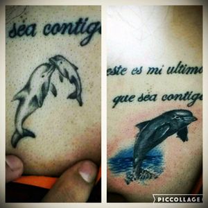 Corrección #Dolphin #back