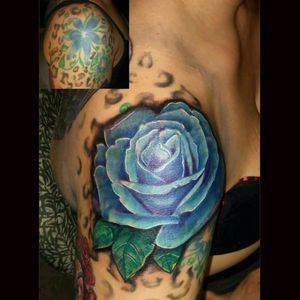 *Blue Rose Cover Up..