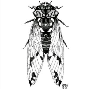 Dotwork design. Cicada Design available