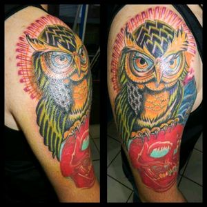 #owl #colors