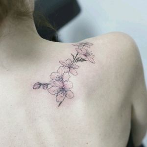 By #tattoist_flower #cherryblossom  #flowers #pretty #floral
