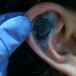 #Caracol #Aureo #618 #Blue #Ear