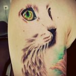 #kitten #catttattoo #inked #animaltattoo #tattoolove #tattoolife #tattoocommunity