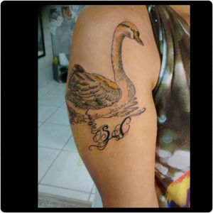 Do cisne dourado da Silvia, obrigada pela oportunidade de fazer parte, #cisne #tattoo #fineart #detalhes #homenagem  #TatuadoraBrasileira #robertamarela #robertanogueira