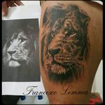 Lion tattoo by Francesco Lemma #tattoo #tattoos #tattoostudio #cheyennepen #francescolemma #tattoostyle #liontattoo #realismanimaltattoo #realism #tatuaje