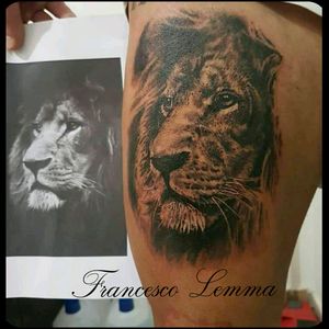 Lion tattoo by Francesco Lemma #tattoo #tattoos #tattoostudio #cheyennepen #francescolemma #tattoostyle #liontattoo #realismanimaltattoo  #realism #tatuaje