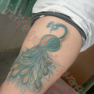 #bird #peacock#thailandBangkok Love me,love my tattoo.