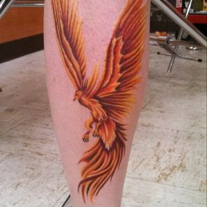 My first, and I went big! I got it to commemorate how much I went through over the past 10 years. A phoenix seemed appropriate.