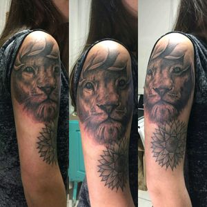 Lion. Mazzi Art Tattoo