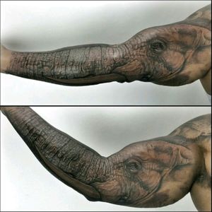 #elephant #tatooarm #animal #artaroundtheworld