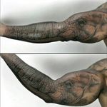 This is amazing #arm #sleeve #elephant #animal #bicep #scroll #quote #words #blackonblack #portait #natural #nature