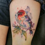 #tattoo #Tattoodo #watercolour #bird #cute