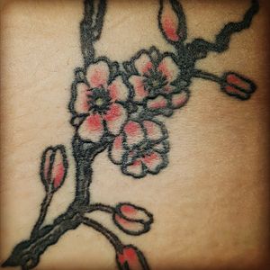 Cherry blossom for done for my (too far) 18's #cherry #cherryblossoms