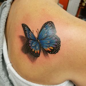 3D butterfly coverup