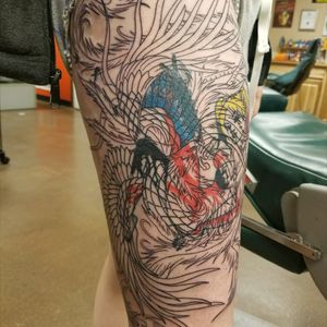 Outline of Phoenix coverup