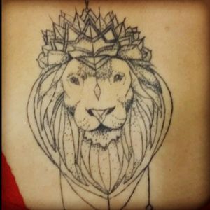 #lion #leão