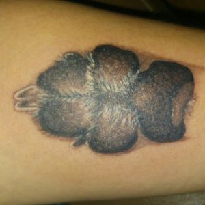 Paw print of my dog Lily by Tally of Idol Saints Tattoo Crawley West Sussex UK