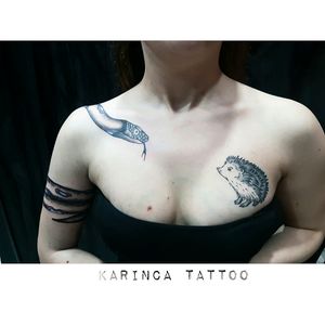 Snake & Hedgehoginstagram: @karincatattoo #snake #tattoo #hedgehog #chesttattoo #girltattoo #breast #tattoos #tatted #ink #inked