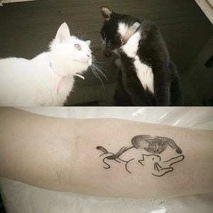 #saintlouistattoo #saintlouis #luistattoo69 #inked #tanapele #tattooedgirls #tattoolife #delicatetattoos #lovepet #pet #cat