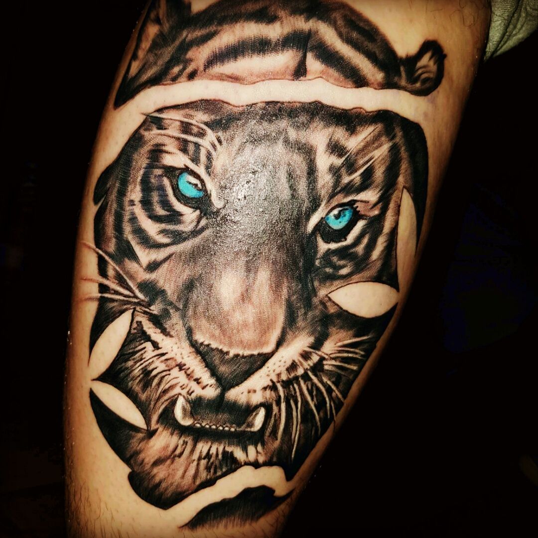 Tiger tattoo on the calf