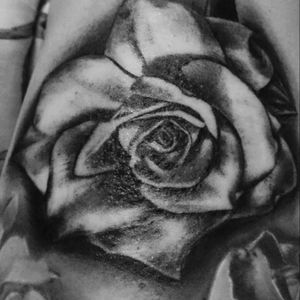 Another new flower #ink #blackandgrey #rose