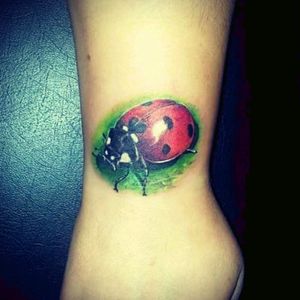 #ladybug done by Marko Martinović
