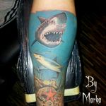 #shark #seaanimals #seaworld #greatwhiteshark #intenzecolors done by Marko Martinović