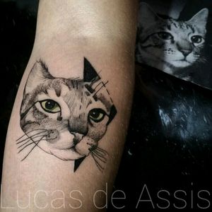 Homenagem da cliente para com o seu gatinho que faleceu #tattoo #tatuagem #tatuaje #portoalegre #blackwork #dotwork #sketch #cat #love #cattattoo #Tattoodo
