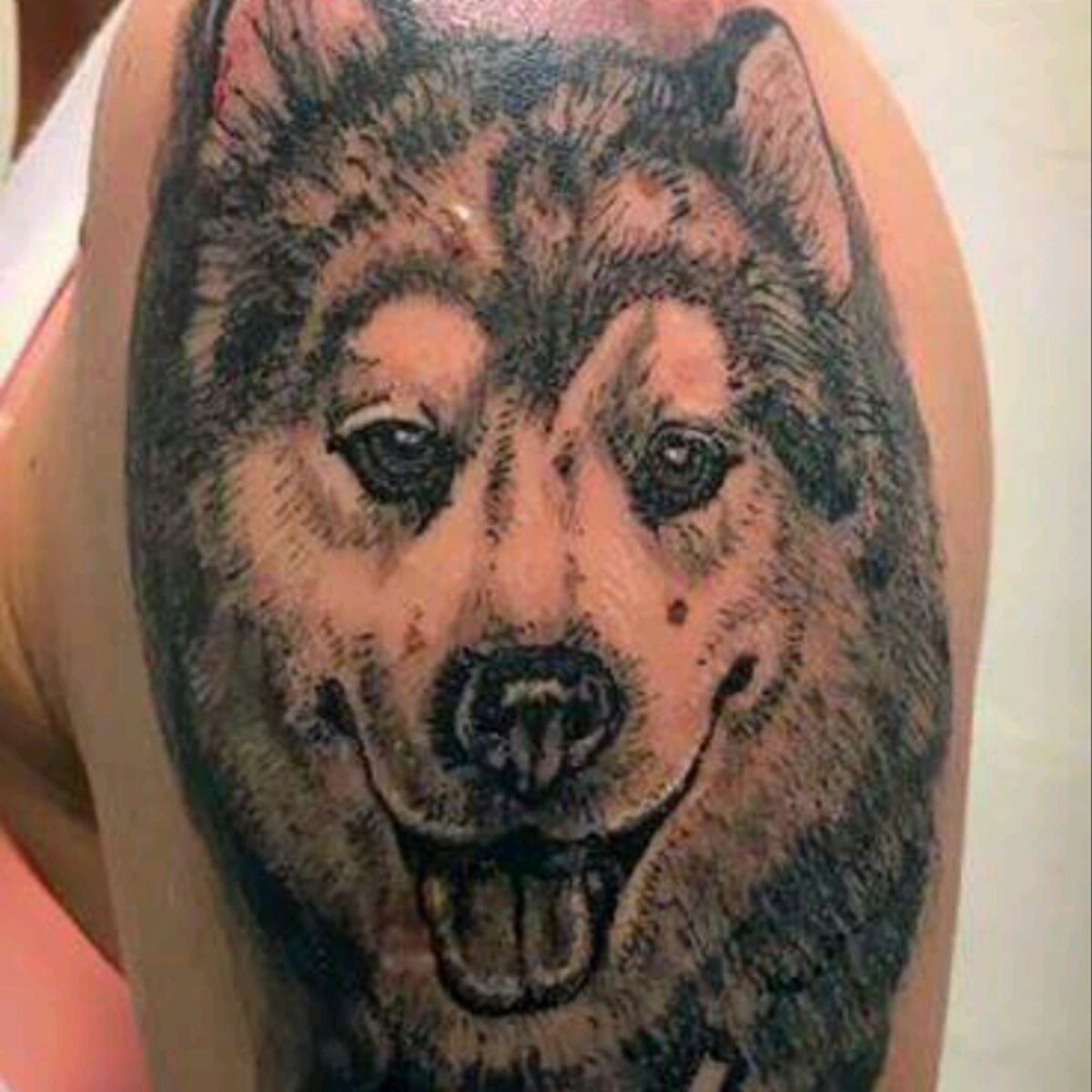 Tattoo uploaded by Tiago Forte • Alaska malamute portrait • Tattoodo