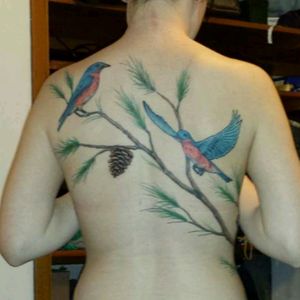 Back piece #backpiece #bluebirds #pinetrees #northernminnesota #tattooaddiction