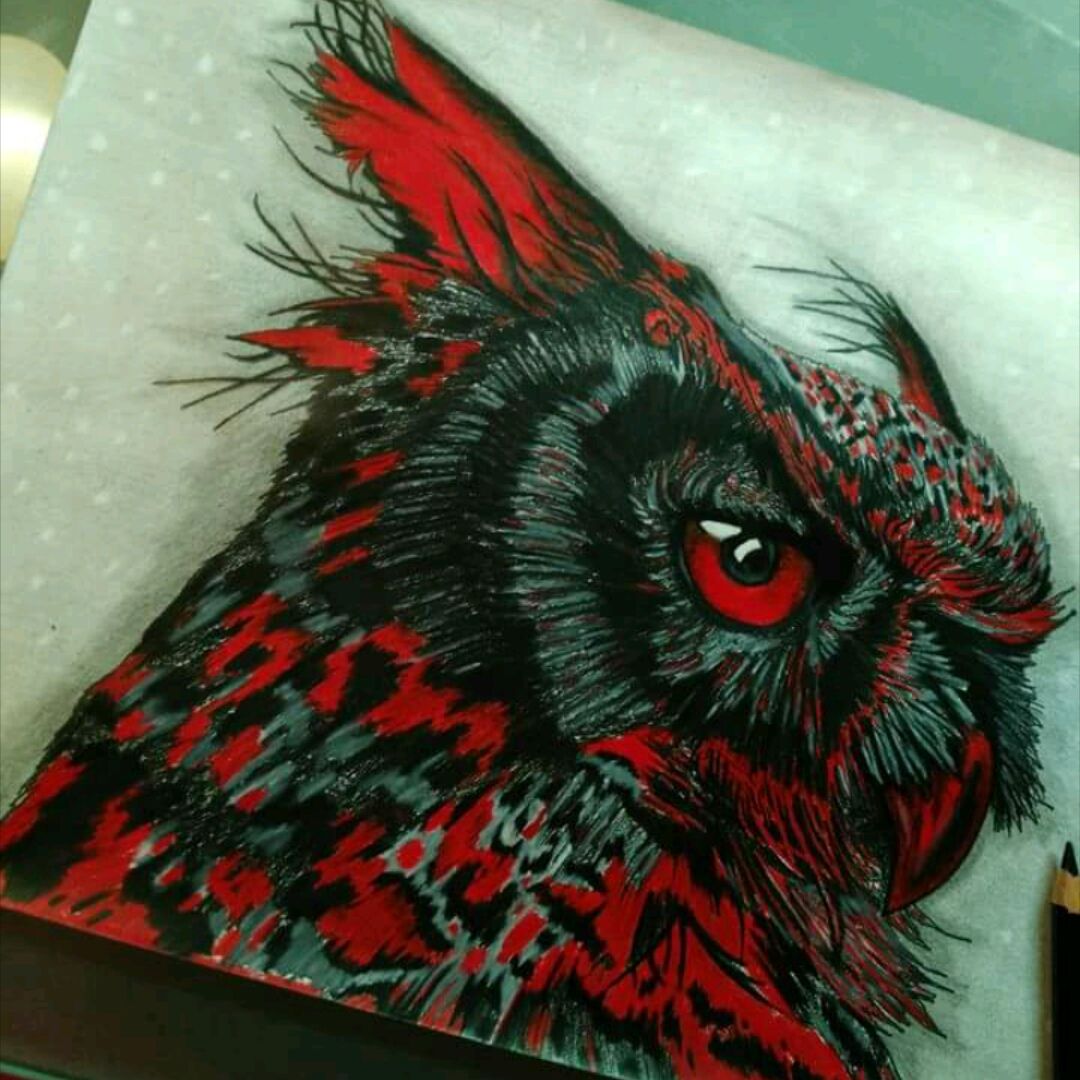 Premium Vector  Flying owl tattoo vector design