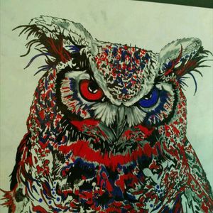 #Red and #blue #owl