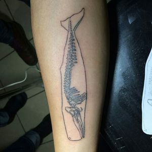#whale #anatomy #skeleton #ink #tattoo #blackink #lines #blackwork #minimalismtattoo #minimal #animal #nature #sea #forearm