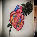 Anatomical heart with black and white rose. My drawing. #heart #anatomicalheart #blackrose