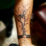 #rafa-Tattoo #armband #tree #blacktattoo