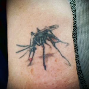 My malaria mosquito.  Had malaria in 1981