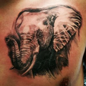 Tattoo uploaded by Maja • #onyxtattoo #belgrade #beograd #tattoo #tetovaze #tetoviranje #ink #cover #elephant • Tattoodo Tattoo uploaded by Maja • #onyxtattoo #belgrade #beograd #tattoo #tetovaze #tetoviranje #ink #cover #elephant • Tattoodo